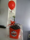 CACHEPOT DOS CARROS